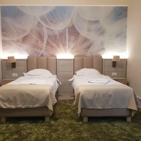 Hotel Florilor 3*